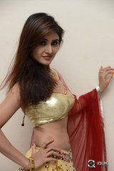 Sony Charishta at Seenugadi Love Story Movie Audio Launch